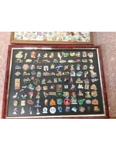 PIN S LA PLAQUE