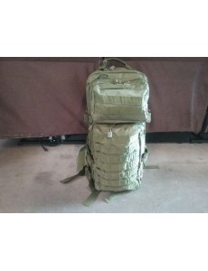 SAC A DOS ASSAULT 1 VERT 30L