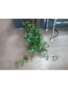 PLATE ARTIFICIELLE "LIERRE"