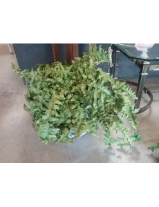 PLANTE ARTIFICIELLE "FOUGÈRE"