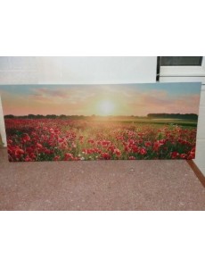 CADRE DECO COQUELICOTS