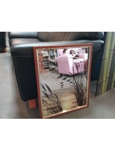 MIROIR DÉCO OISEAUX