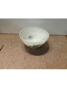 LOT DE 4 PLATS ARCOPAL