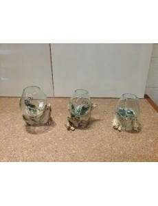 RACINE ET SON VERRE XS