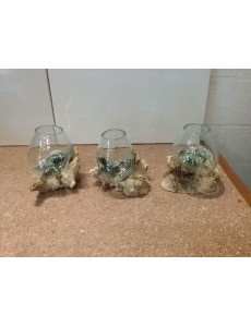 RACINE ET SON VERRE MOYEN N° 2