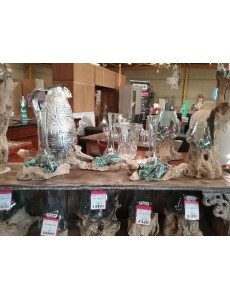 RACINE ET SON VERRE VASE