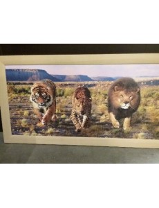 CADRE "DÉCO FAUVES"