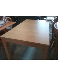 TABLE MODERNE 140 + ALL 80 CM
