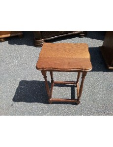 POSE PLANTE CHENE 30 CM