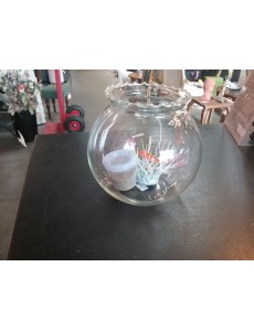 AQUARIUM "BALLON" + NÉMO