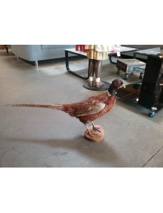 FAISAN   L 80 CM  H 50 CM