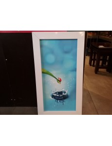 REPRODUCTION "COCCINELLE"