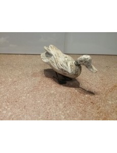 CANARD