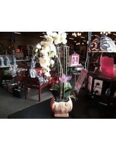 DÉCORATION FLEURS...