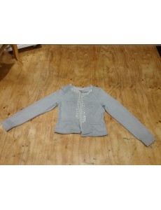 GILET GRIS A STRASS ET...